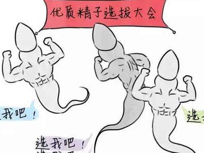 什么是试管移植40天胎停？需要注意哪些事项