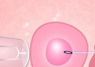 福建三代试管婴儿价格，福建试管婴儿多少钱？