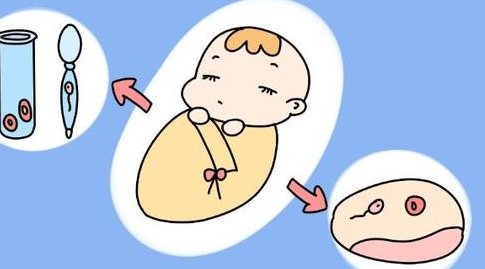 泰国试管三代需要花费多少钱？