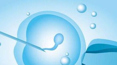 西藏试管婴儿哪家医院技术更优？