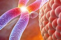 焦作正规助孕机构名单